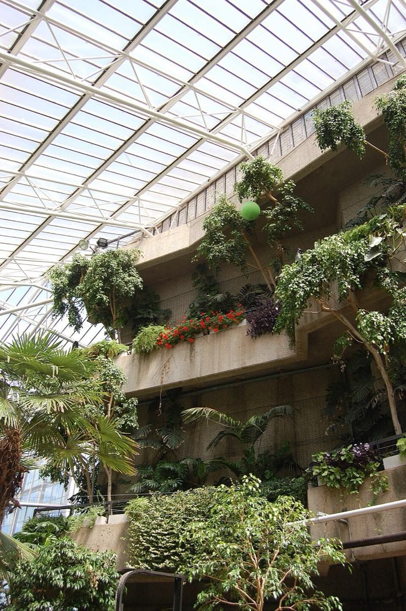 Barbican Conservatory, the second-largest conservatory in London