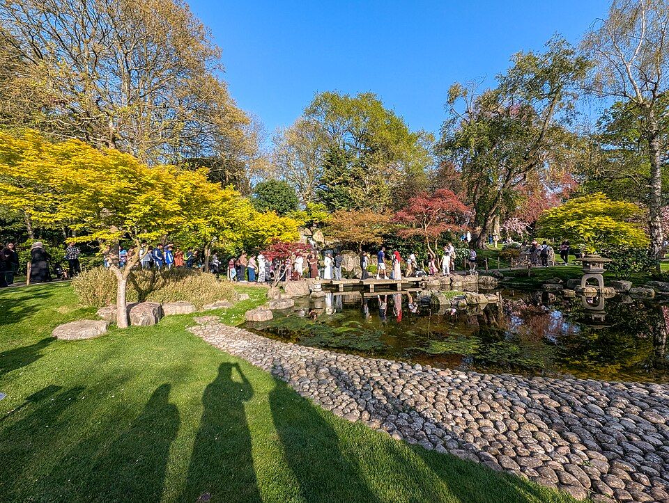 Kyoto Garden, Holland Park, a Japanese garden with a waterfall and koi pond, gifted to Holland Park