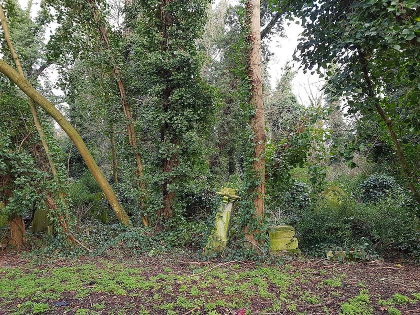 Nunhead Cemetery, a wooded Victorian cemetery on a South London hill