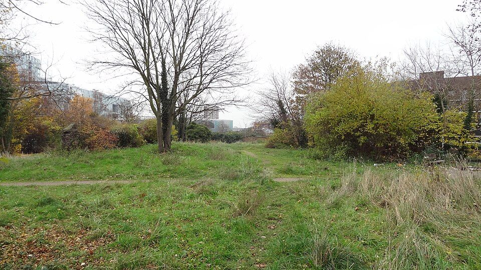 Sue Godfrey Nature Park, a small community-run nature reserve in Deptford