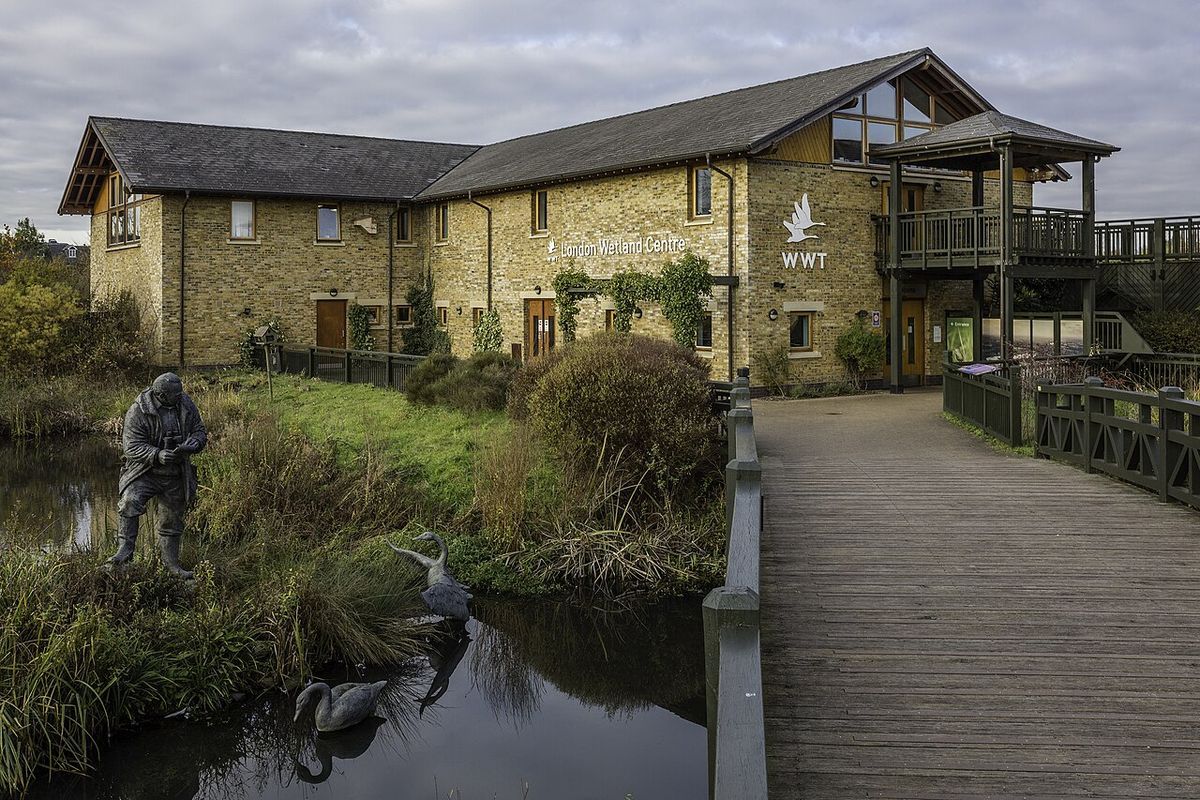 WWT London Wetland Centre, a 100-acre nature reserve in Barnes